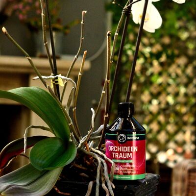 Biotaurus Orchideentraum 500 ml