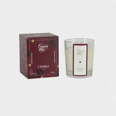 Cedar scented mini candle - 75gr