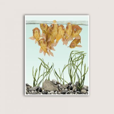 Goldfish - Art Print - 12x16