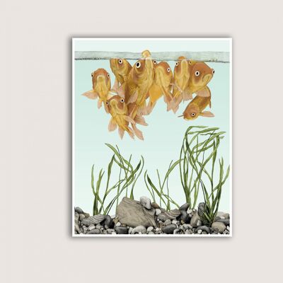 Goldfish - Art Print - 12x16
