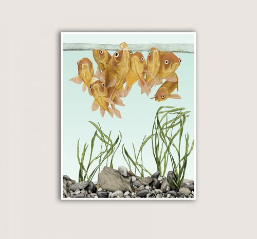 Goldfish - Art Print - 18x24
