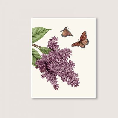 Lilac - Art Print - 12x16