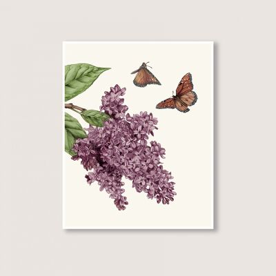 Lilac - Art Print - 18x24