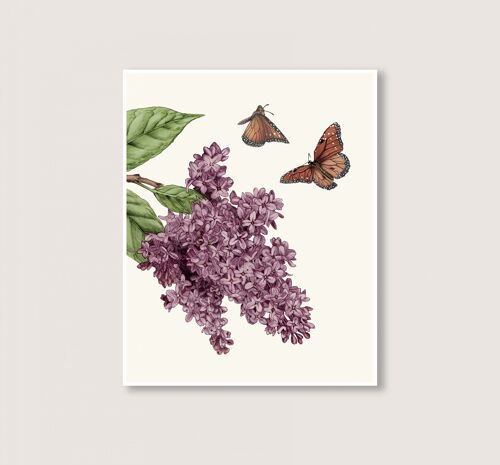 Lilac - Art Print - 8x10