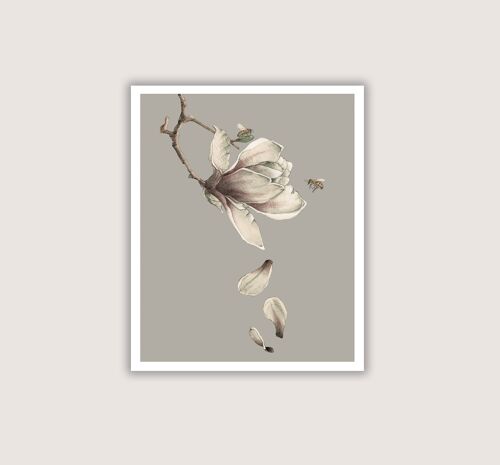 Magnolia Bee - Giclee Art Print - grey - 12 x 16