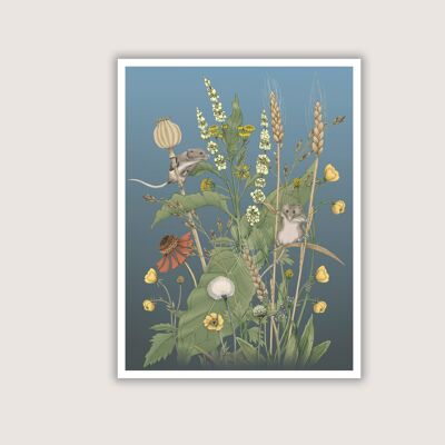 Meadow Mice - Art Print - 12 x 16