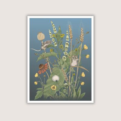 Meadow Mice - Art Print - 18 x 24