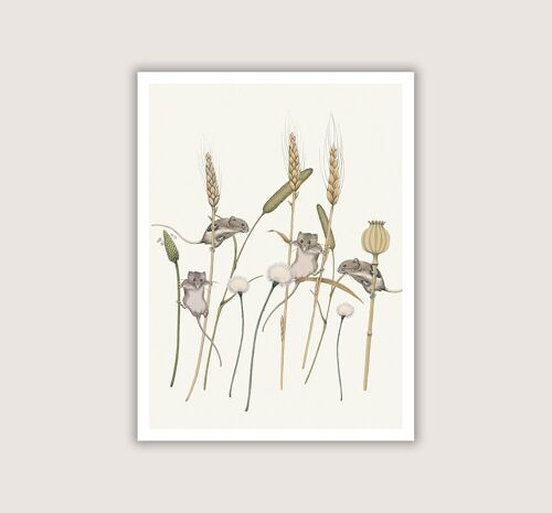 Meadow Trapeze - Art Print - Cream - 12 x 16