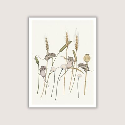 Meadow Trapeze - Art Print - Cream - 12 x 16