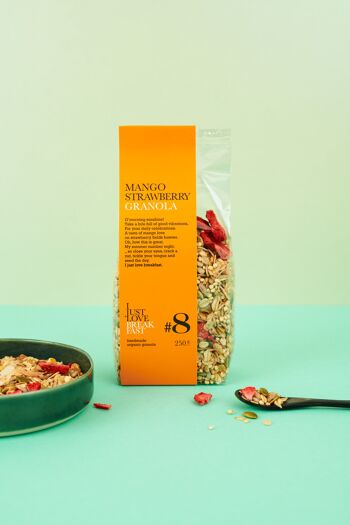 #8 250g de granola bio mangue fraise 1