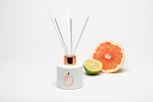 White Reed Diffusers Bestseller Bundle of 10, 5 scents
