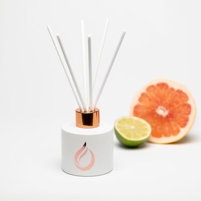 White Reed Diffusers Bestseller Bundle of 10, 5 scents