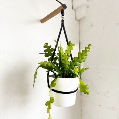 Peg Plant Hanger + Plant Pot Holder