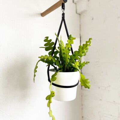 Peg Plant Hanger + Support pour pot de fleurs