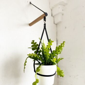 Peg Plant Hanger + Support pour pot de fleurs 2