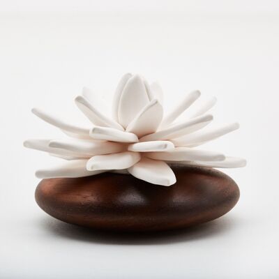 Sustainable aromatic diffuser - LOTUS