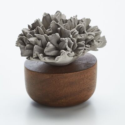 Aromatic diffuser - Gray carnation