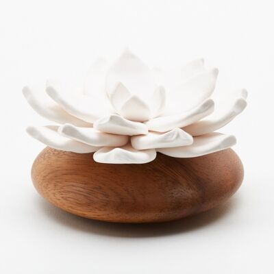 Diffuseur d'huiles essentielles - Fleur STAR en porcelaine blanche