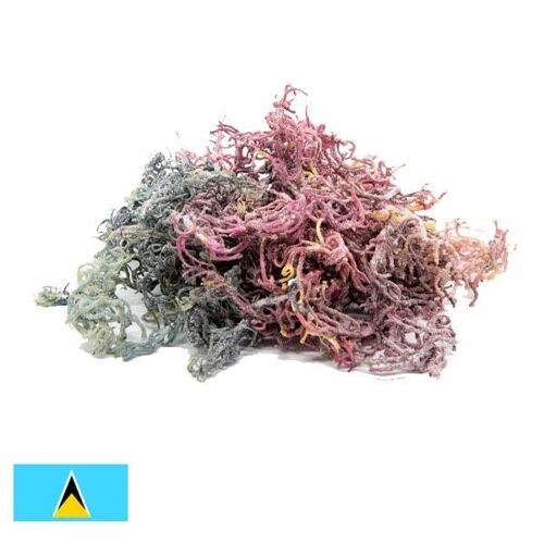 Purple St. Lucia Sea Moss - Gracilaria (Full Spectrum) - 100g