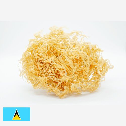 St. Lucia Sea Moss - 1kg