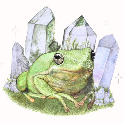 Magic Frog A5 Print - Crystals - Hand Drawn Pencil Drawing Print - Landscape - Home Decor - Frog Lover Art - Room Art