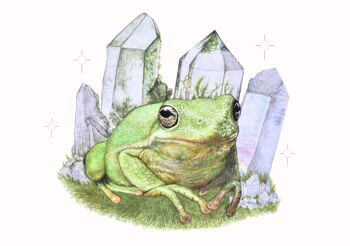 Magic Frog A5 Print - Crystals - Hand Drawn Pencil Drawing Print - Paysage - Home Decor - Frog Lover Art - Room Art 1