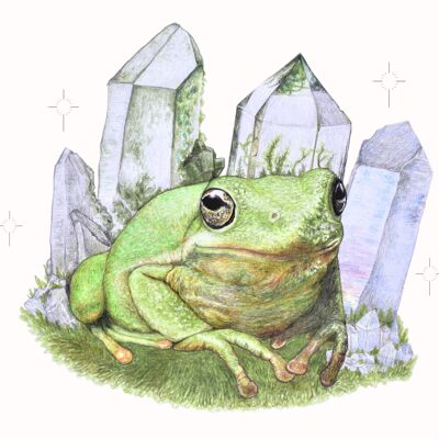 Magic Frog A5 Print - Cristales - Impresión de dibujo a lápiz dibujado a mano - Paisaje - Decoración del hogar - Frog Lover Art - Room Art