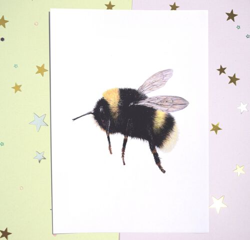 Bumble Bee Print - Handmade Pencil Drawing - A5 - Home Decor - Bee Love Art