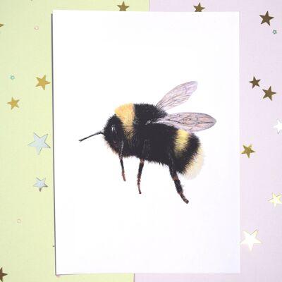 Bumble Bee Print - Dibujo a lápiz hecho a mano - A5 - Decoración del hogar - Bee Love Art