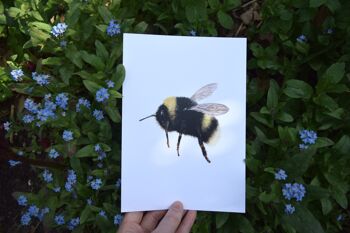 Bumble Bee Print - Dessin au crayon fait à la main - A5 - Décoration d'intérieur - Bee Love Art 2
