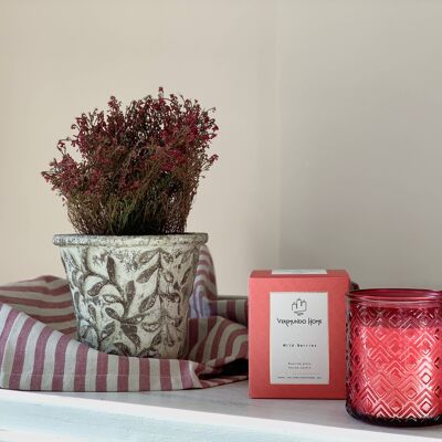 Organic Scented Candle - Wild Berries