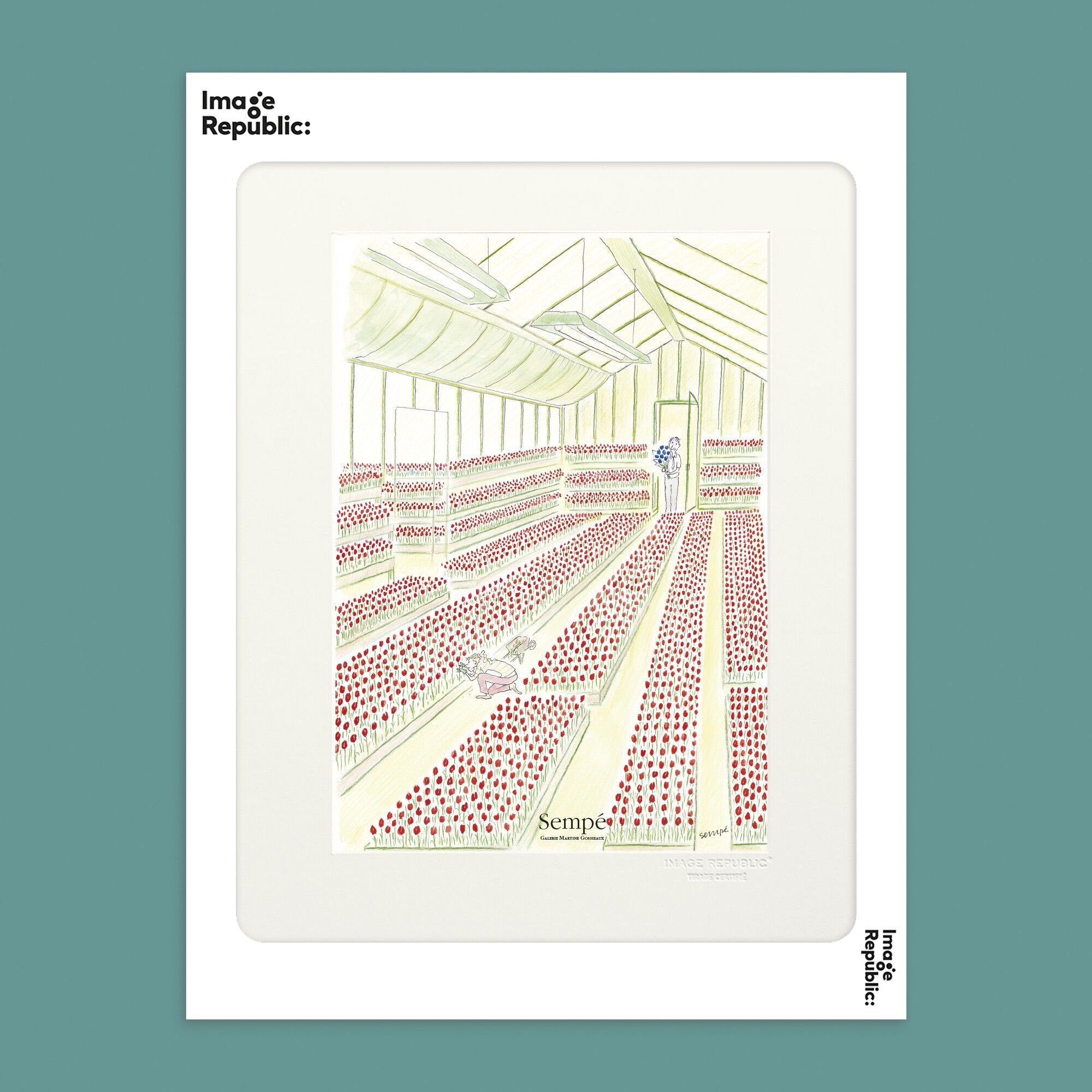 POSTER 30x40 cm SEMPE TULPEN