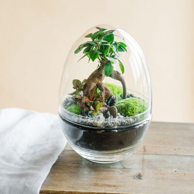 BOHOL - Terrarium L - Rouge