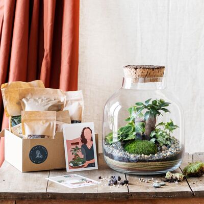 Kit Terrarium DIY - ACAPULCO