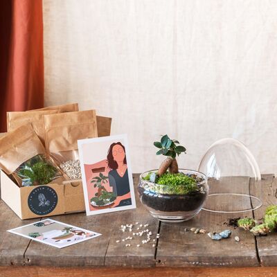 Kit Terrarium DIY - BOHOL