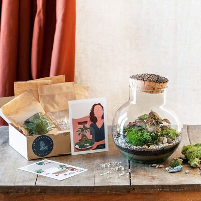 Kit Terrarium DIY - NOUMEA - Verte - D'origine