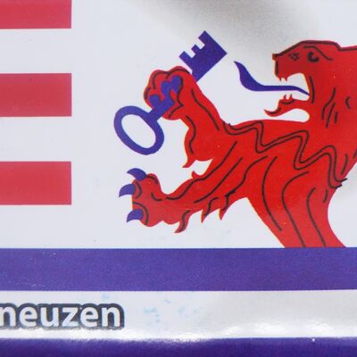 Fridge Magnet Flag Terneuzen