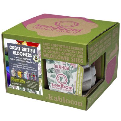 Great British Bloomers 4 Pk Set Regalo Seedbom - Confezione da 8