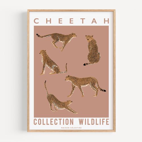 Affiche Cheetah