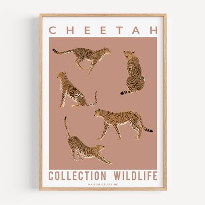 Poster di ghepardo