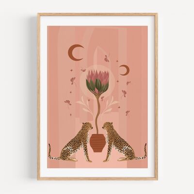 Geparden-Protea-Plakat