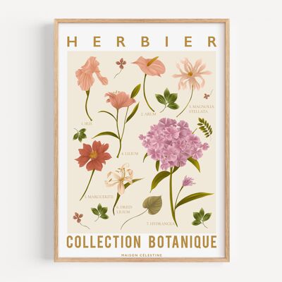 Herbarium-Plakat