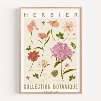 Affiche Herbier 1