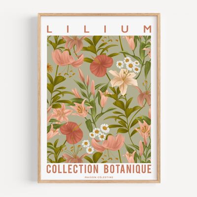 Lilium-Poster