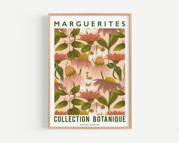Affiche Marguerites 2