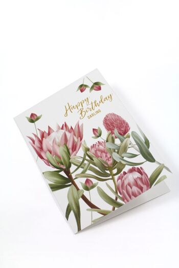 Carte Anniversaire Darling Protea 3