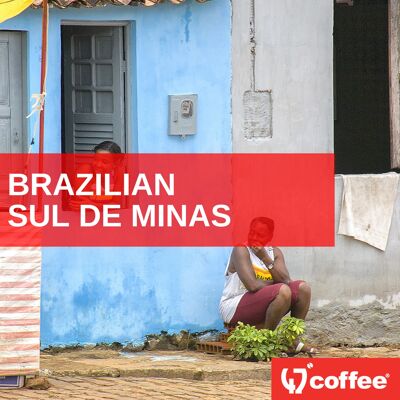 BRAZILIAN - SUL DE MINAS - TRADE - 4KG (Â£15 per/kg)