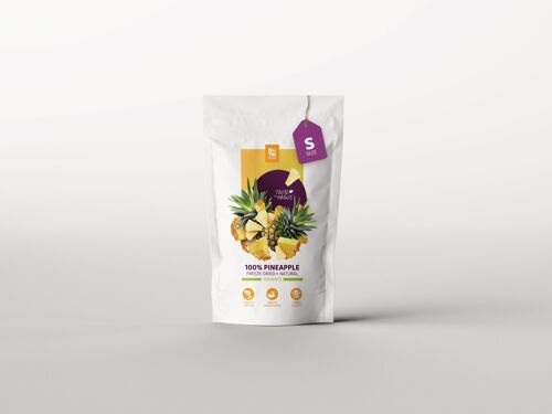 Freeze-dried Pineapple- Small