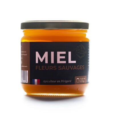 Miel "Fleurs Sauvages" - Périgord - 500g