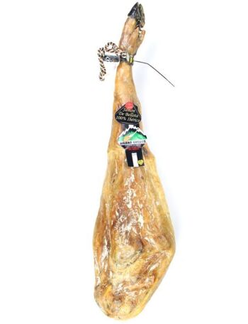 Jambon 100% Ibérique de Bellota 1